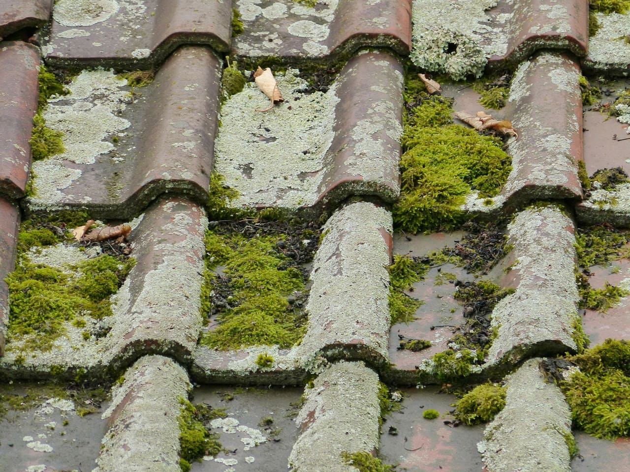 Moss being cleared from a tiled roof in Berkshire